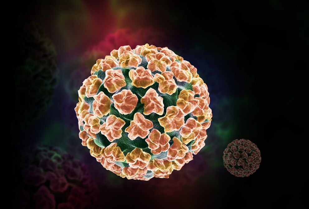 papillomavirus ของมนุษย์ในร่างกาย